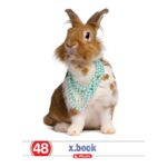 Caiet Herlitz A5, 48 file, cu copertă policromie, perfect pentru notițe și proiecte.