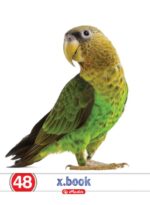 Caiet Herlitz A5, 48 file, cu copertă policromie, perfect pentru notițe și proiecte.