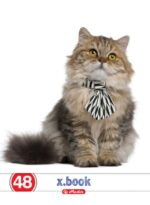 Caiet Herlitz A5, 48 file, cu copertă policromie, perfect pentru notițe și proiecte.