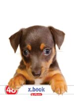 Caiet Herlitz A5, 48 file, cu copertă policromie, perfect pentru notițe și proiecte.